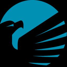 BACKUP EAGLE logo