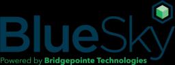 BlueSky IT Partners
