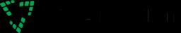 VisioneerIT logo